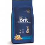 brit-premium-cat-kitten-l